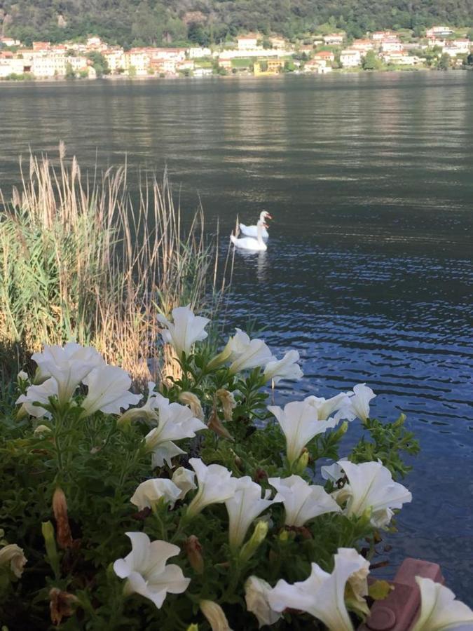 La Casa Dei Cigni Sul Lago D'Orta Omegna Exterior foto